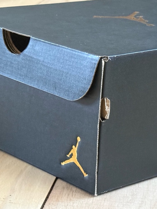 Air Jordan 1 Low SE Black Iced Lilac DV1309-051 Men’s 10 Box main image 8